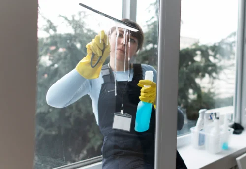 Nettoyage de vitres intérieures et extérieures à Brousseval